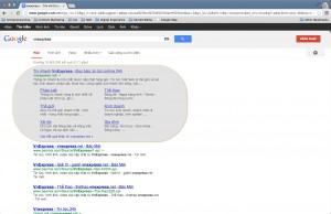 vnexpress on google vietnam