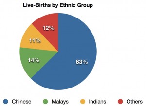 live birth by ethnic group in singapore jun 2013