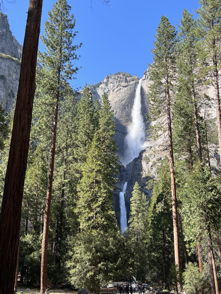 Lower Yosemite fall trail 2022