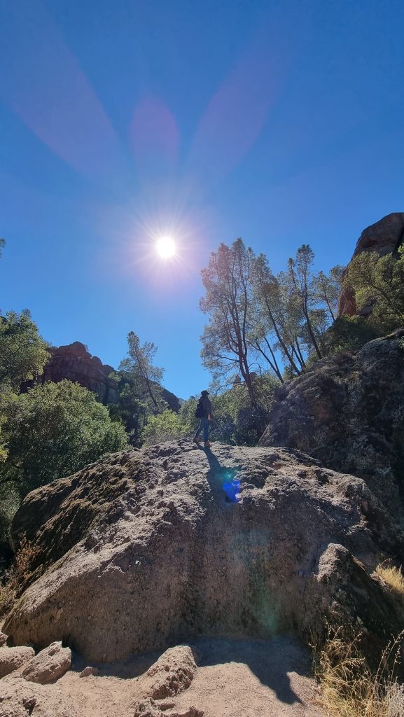 pinnacles national park 2