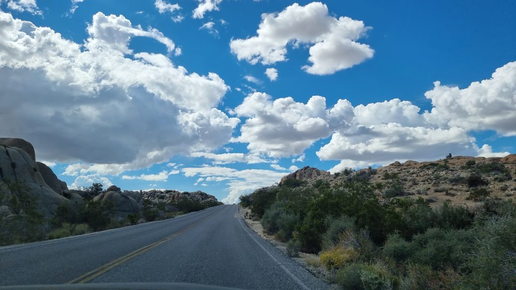 driving inside the Joshua Tree national park 2022