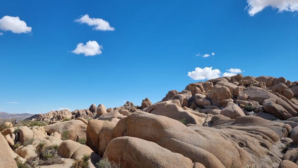 Skull rock in Joshua Tree national park 2022