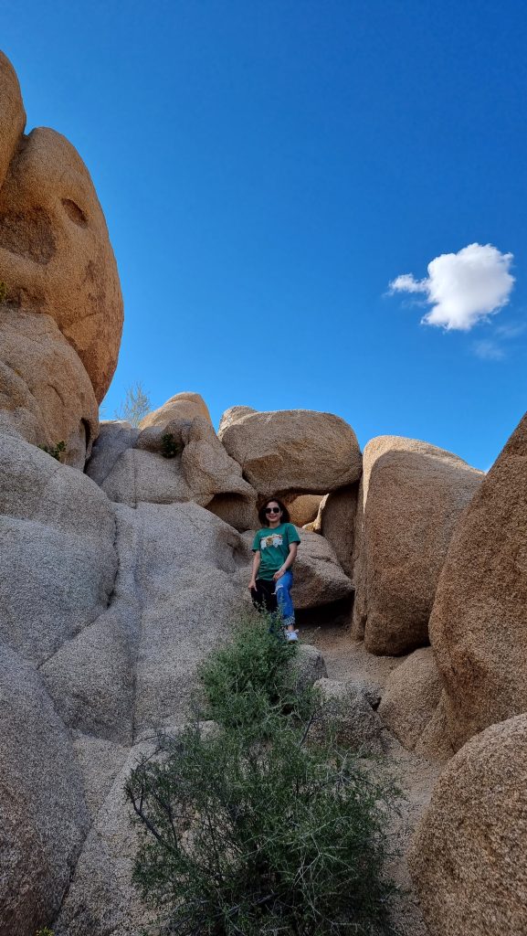 Skull rock in Joshua Tree national park 2022