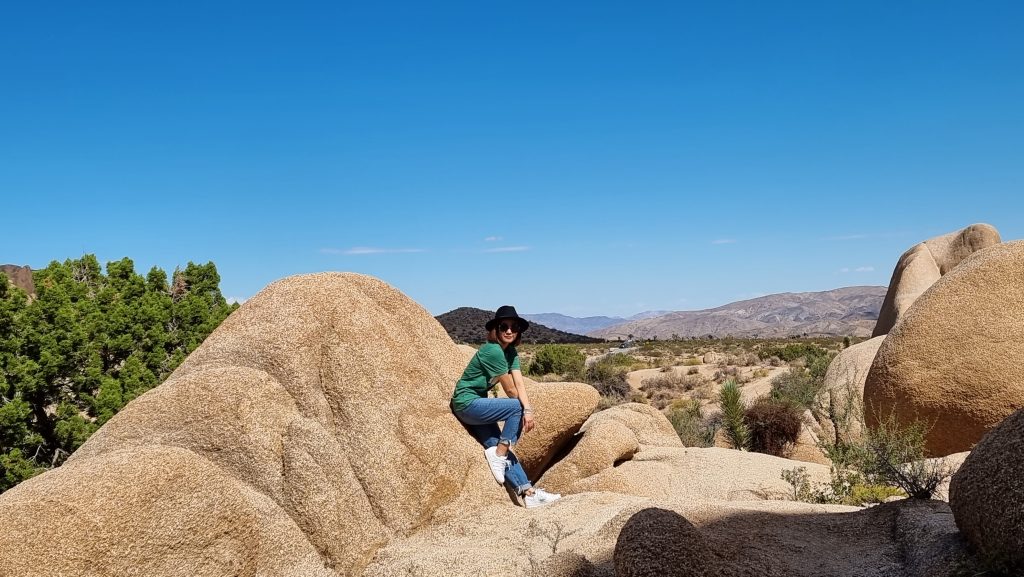 Skull rock in Joshua Tree national park 2022