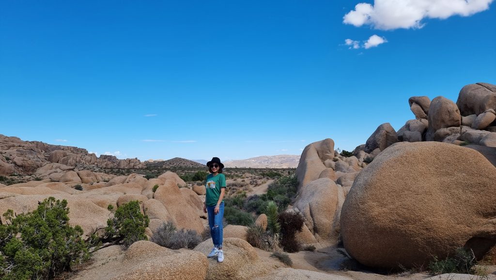 Skull rock in Joshua Tree national park 2022